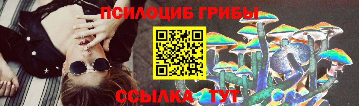 Псилоцибиновые грибы прущие грибы Асино